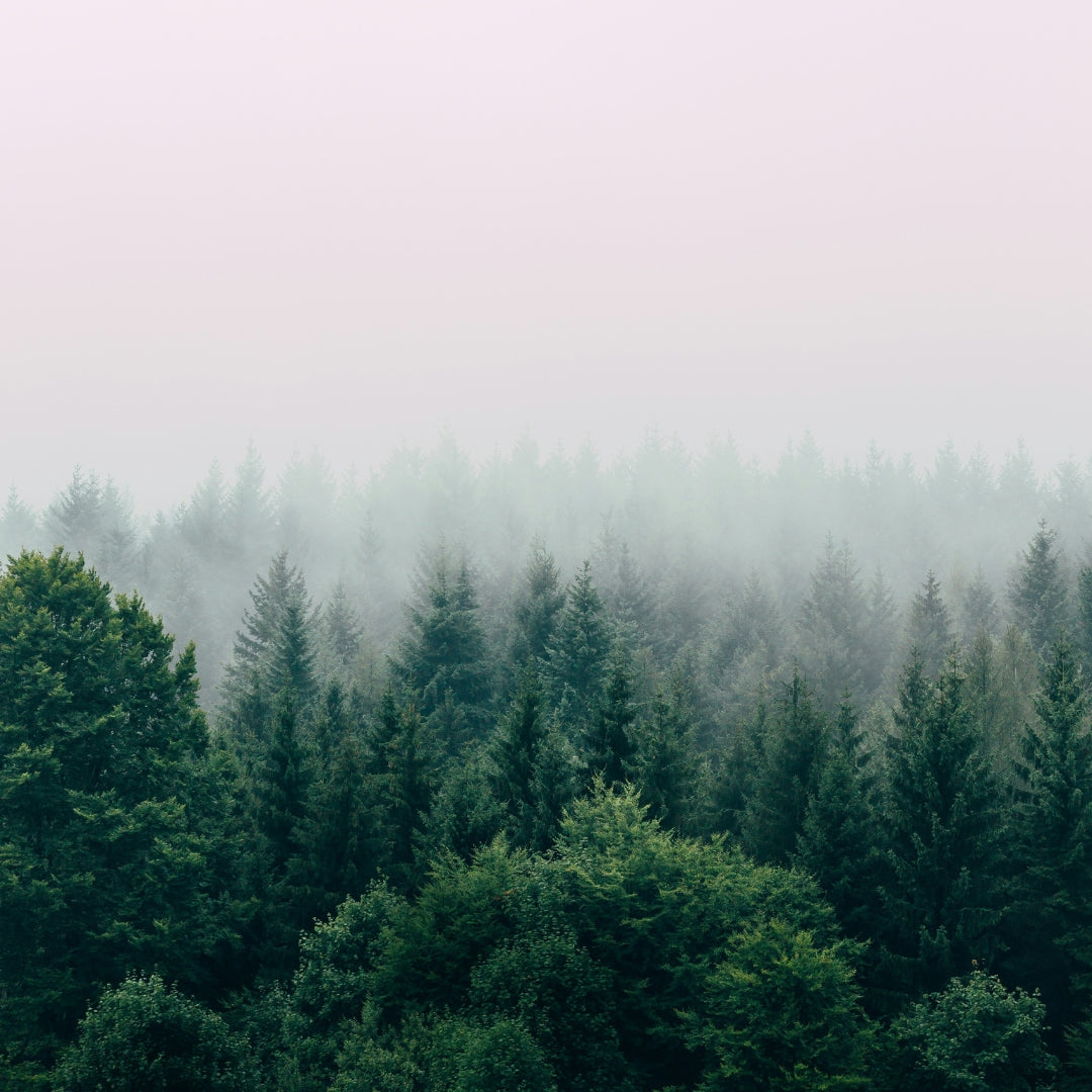 Breathe