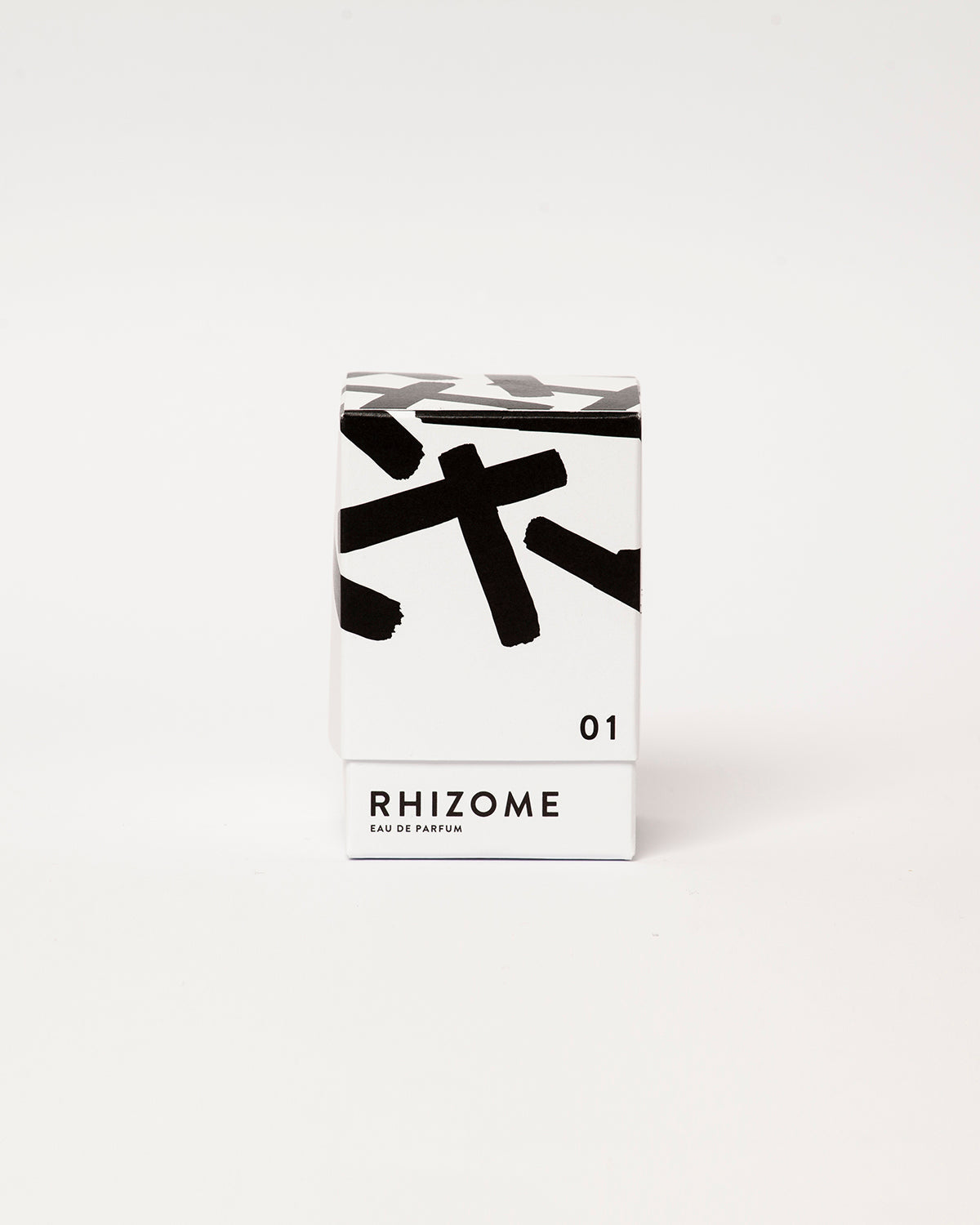 Rhizome 01